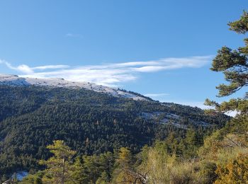 Tocht Stappen Moriez - moriez parrioune grau de courchons 906m 16.5kms - Photo