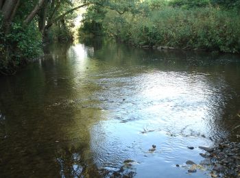 Randonnée A pied Amorbach - Rundwanderweg Amorbach Beuchner Berg 1: Aussichtsweg - Photo