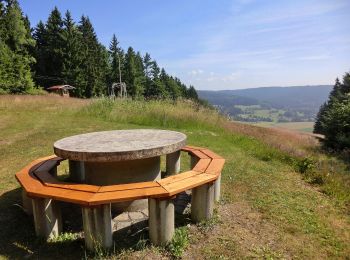 Randonnée A pied Immenreuth - Speichersdorf Rundwanderweg Nr. 7 