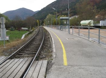 Randonnée A pied Gemeinde Waldegg - Wopfing: Um den Sulzberg Rundwanderweg - Photo