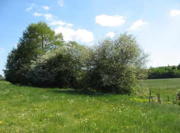 Tour Zu Fuß Heidenrod - Zorner Runde - Photo