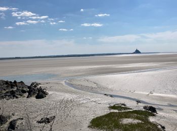 Randonnée Marche Genêts - Genêts - la pointe du groin sud - Photo