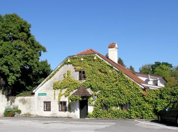 Tour Zu Fuß Gemeinde Wieselburg-Land - Türkensturzrunde - Photo
