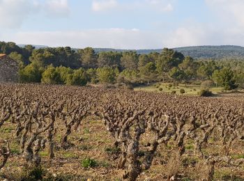 Excursión Senderismo Villeneuve-Minervois - boucle à Villeneuve Minervois  - Photo