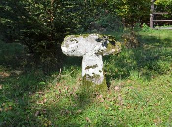 Tocht Te voet Löwenstein - WT4 Auf den Spuren von Dichtern und Denkern - Photo