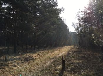 Randonnée A pied Nuthe-Urstromtal - Rundwanderweg Felgentreu - Photo