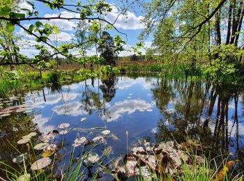 Tocht Te voet Buchholz in der Nordheide - Ho-Se Grüner Rundwanderweg - Photo