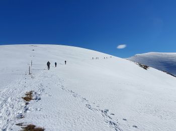 Tour Wandern Mayrègne - Sommet d'Antenac EN BOUCLE - Photo