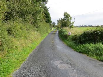 Trail On foot Roscommon Municipal District - Iath Ghlas - Photo