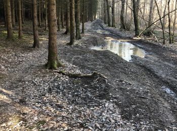 Randonnée A pied Sprimont - Boucle de Damré 8 Km  - Photo