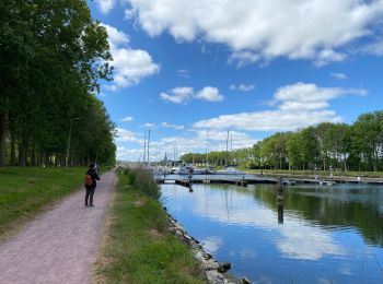 Tocht Stappen Carentan-les-Marais - Canal de Carentan - Photo