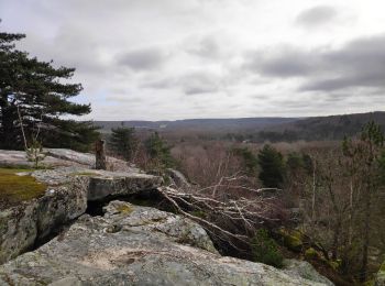 Trail Walking D'Huison-Longueville - Orveau - Photo