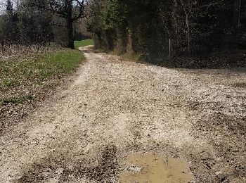 Trail Nordic walking Groisy - Groisy Nérulaz Les Pesses Fontaine vive - Photo