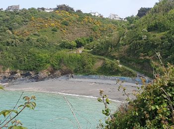 Trail Walking Pordic - le tour du cpucou - Photo