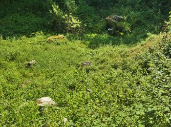 Excursión A pie Mladeč - Naučná stezka Třesín - Photo