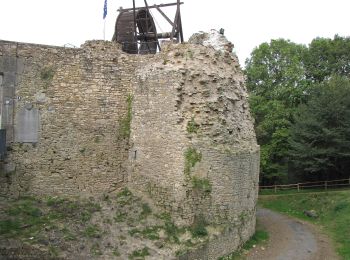 Tocht Te voet Theux - 36. Le sentier de la Hé de Fer - Photo