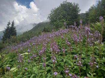 Excursión Senderismo Les Contamines-Montjoie - Refuge de Tré la tête et Mauvais Pas 5.7.22 - Photo