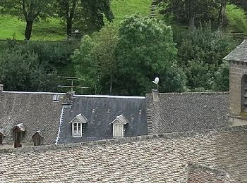 Excursión A pie Saint-Sauves-d'Auvergne - De la Dordogne aux volcans - Photo