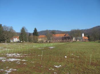 Percorso A piedi Gerstungen - Altenberger See Rundwanderweg 1 - Photo