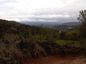 Trail On foot Salir - Rocha da Pena - Photo