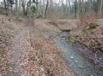 Tocht Te voet Bad Schussenried - Bad Schussenried: Wanderweg 7 - Photo