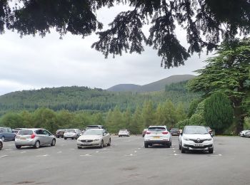 Percorso A piedi Sconosciuto - Tollymore Forest - Mountain Trail - Photo