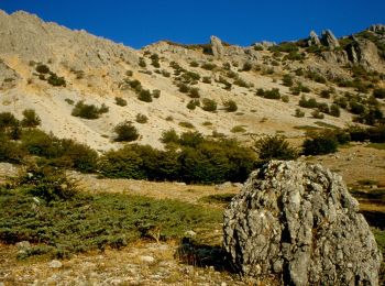 Tocht Te voet Petralia Sottana - Cresta della Quacella - Photo