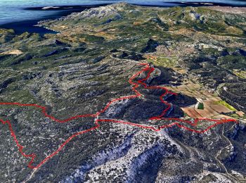 Trail Walking Ceyreste - Autour du Montounier 2eme version - Photo