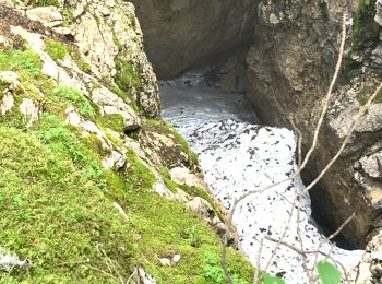 Excursión Senderismo Brizon - Rochers de Leschaux - Photo