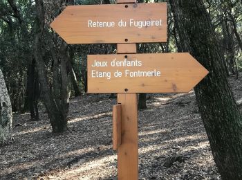 Tocht Stappen Mougins - Circuit de Fugureit - Photo