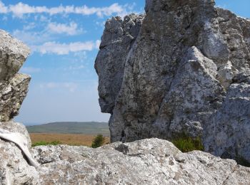 Trail Walking Brennilis - brennilis saint rivoal - Photo