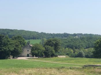 Randonnée Vélo de route Montpezat-de-Quercy - Montpezat lalbenque pilou - Photo