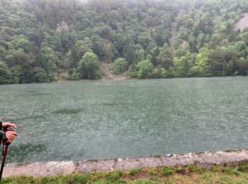 Excursión Senderismo Rimbach-près-Masevaux - Lac des perches - Photo