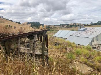 Trail On foot  - Te Araroa - 03 Waikato - f Waipa Walk - Photo