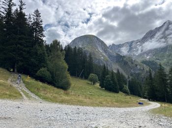 Tour Wandern Pralognan-la-Vanoise - Pralognan col Vanoise val Arcelin 12,6 km - Photo