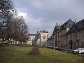 Tocht Te voet Ebrach - Rundweg 