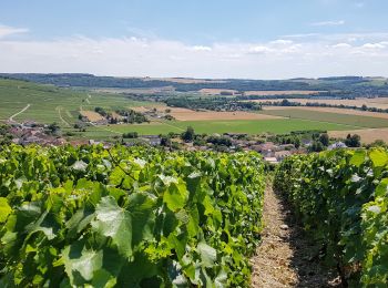 Percorso Mountainbike Château-Thierry - 30/07/2020 - Photo