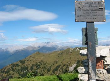 Trail On foot Ovaro - IT-170 - Photo