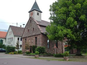 Tocht Te voet Althengstett - DE-SWV Gelbe Raute, Waldenserstein - Bronnbach - Photo