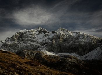 Randonnée A pied Oltre il Colle - Periplo del Pizzo Arera - Photo