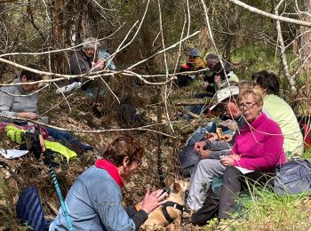 Excursión Senderismo La Roche-Bernard - Boucle moyenne vilaine  - Photo