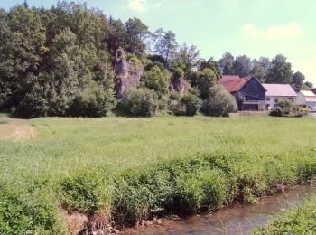 Excursión A pie Aufseß - Rote-Spitze-Weg Sachsendorf - Photo