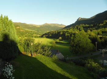 Excursión A pie Anglards-de-Salers - Sur la route des transhumances - Photo