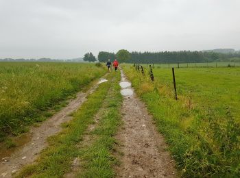 Tocht Stappen Florennes - 2019-06-15 Rosée 30 km - Photo