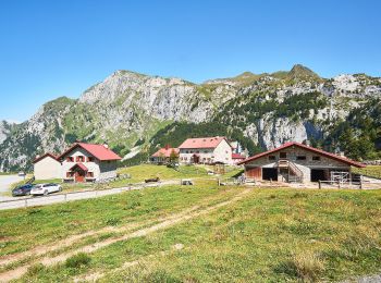Trail On foot Paluzza - AT-402 - Photo