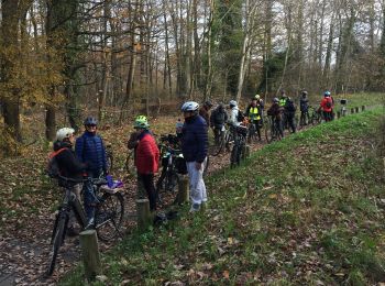 Percorso Mountainbike Villiers-le-Bâcle - Villiers-le-Bâcle - le Moulon - Photo