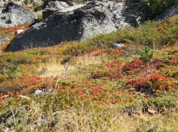 Excursión Marcha nórdica Evolène - descente de la cabane du tsa  - Photo