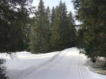 Tocht Langlaufen Prémanon - 2025-BALADASKI - Photo