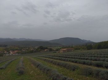 Randonnée Marche Saou - Roche Colombe depuis Saou - Photo