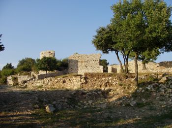 Tour Wandern Lavilledieu - Lavilledieu Oppidum de Jastres 10km - Photo